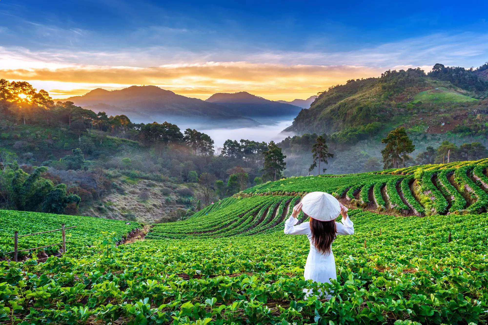 Munnar Kerala Tour Package – 3 Nights / 4 Days