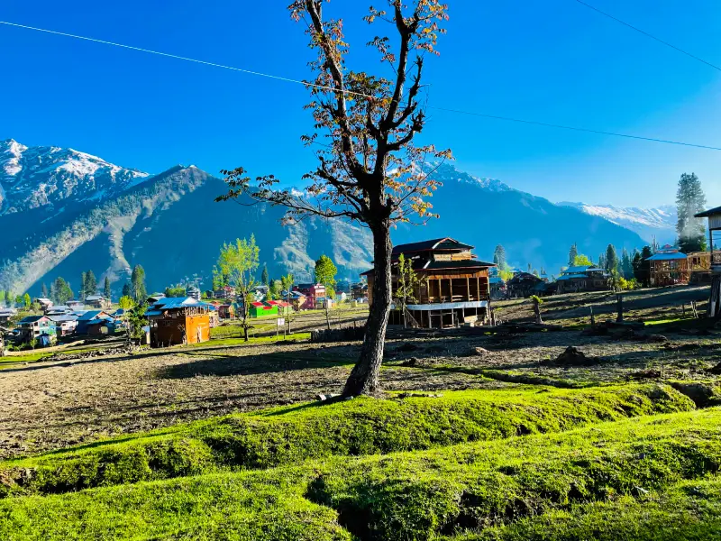 Kashmir Tour